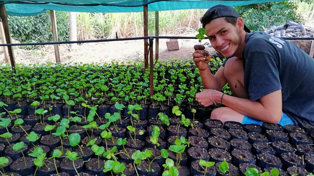 Proud farmer showing up his coffee seedlings in a nursery