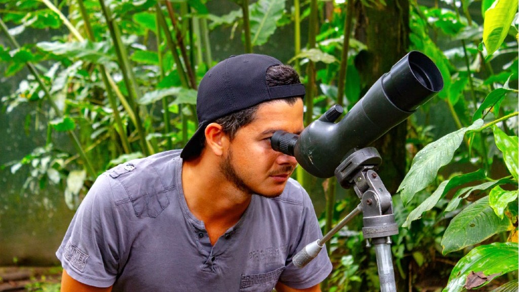 Tour guide finding birds in the tropical rainforest