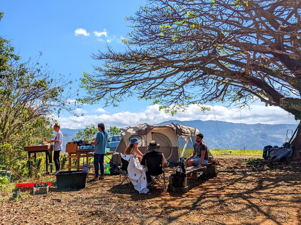 Tent set up for camping at the summit of a mountain in La Unión, Puntarenas