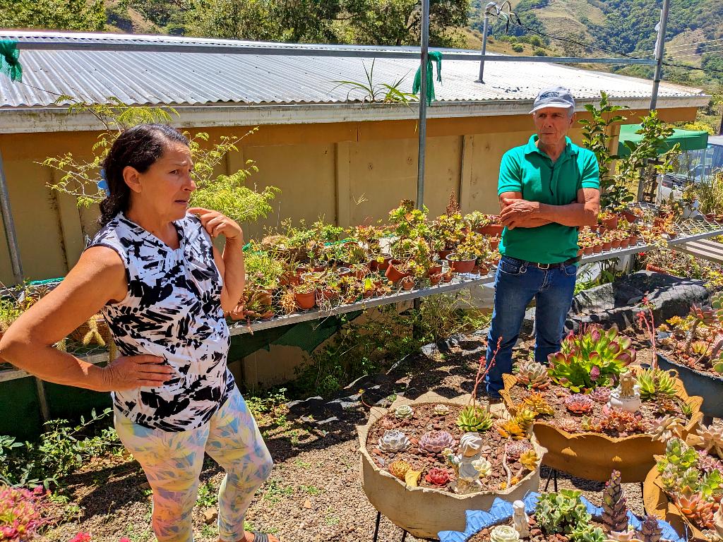 Learning about plants and how to take care of them