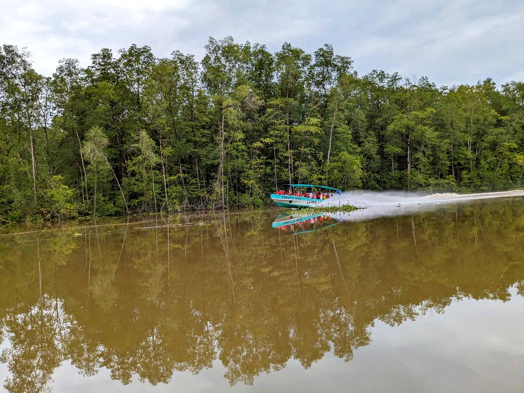 A speed boat setting off for a tour along the tree-lined Sierpe River