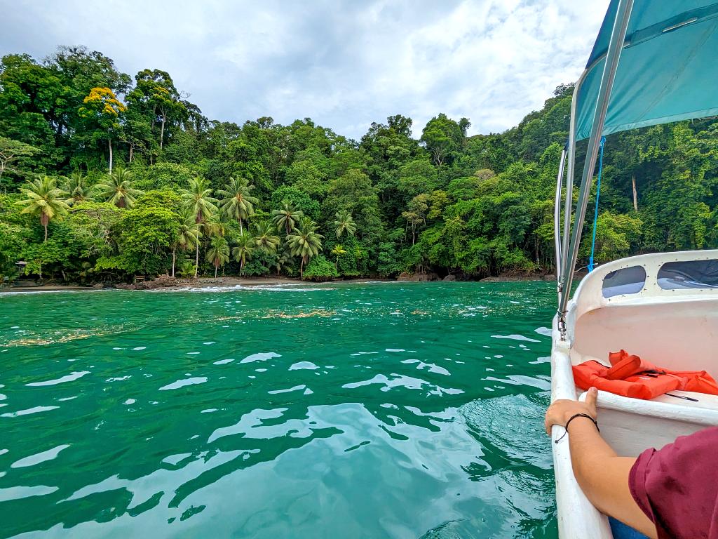 View of a beach filled with palm trees adjacent to a jungle, part of a boat, and the blue ocean from the Biological Station