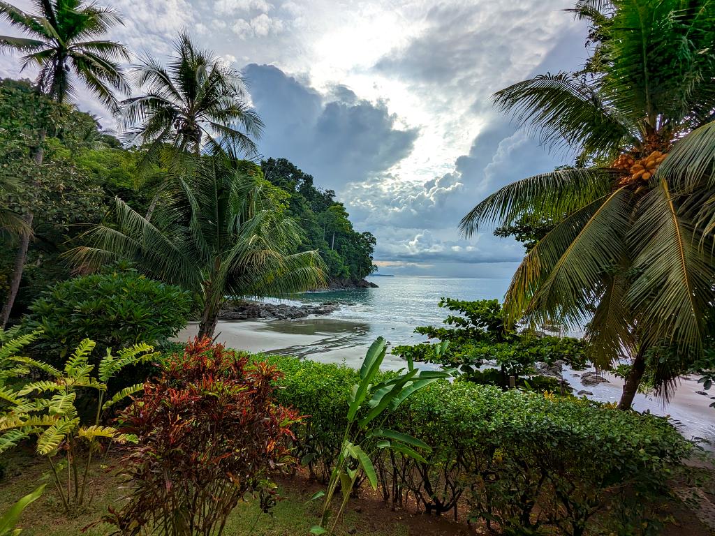 cenic view from the Biological Station, featuring a lush garden, part of the jungle, and the Pacific Ocean