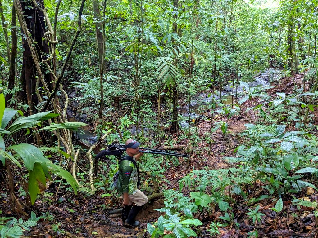 our guide carrying a telescope along a trail next to a stream for a closer look at the wildlife