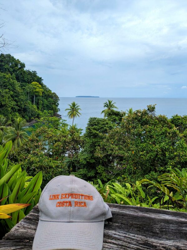 A 'Link Expeditions' hat on a bench with the forest, ocean, and El Caño Island in the background