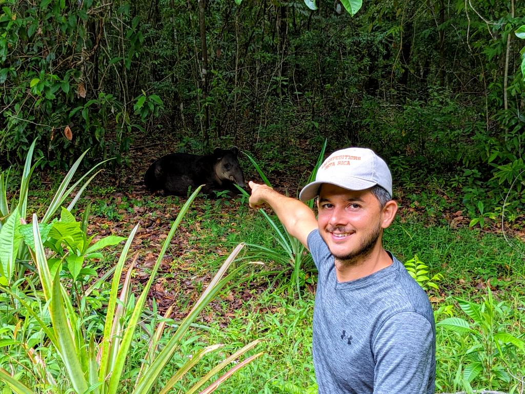 Alberto Salas Costa Rica pointing towards a male tapir sitting a few meters away in the forest