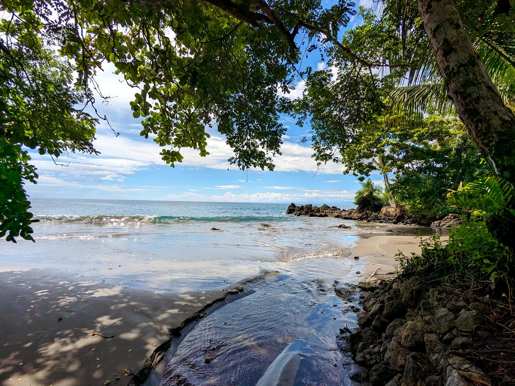 The serene beachfront with its lush shoreline near the Biological Station