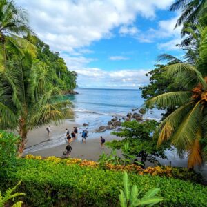 Palm trees, ocean, and student travelers walking on the sand across a small stream that runs down to the ocean