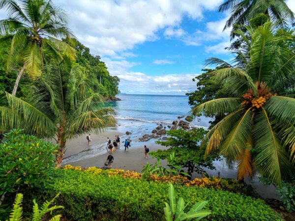 Palm trees, ocean, and student travelers walking on the sand across a small stream that runs down to the ocean