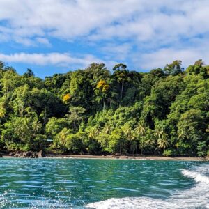 View of the blue ocean and jungle from the boat leaving the Biological Station by Corcovado National Park