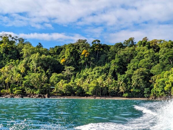 View of the blue ocean and jungle from the boat leaving the Biological Station by Corcovado National Park