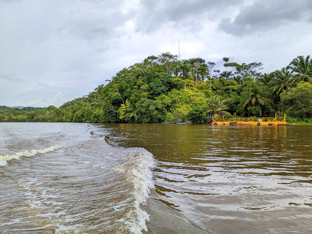 Looking across the Sierpe river from a boat towards the verdant riverbank