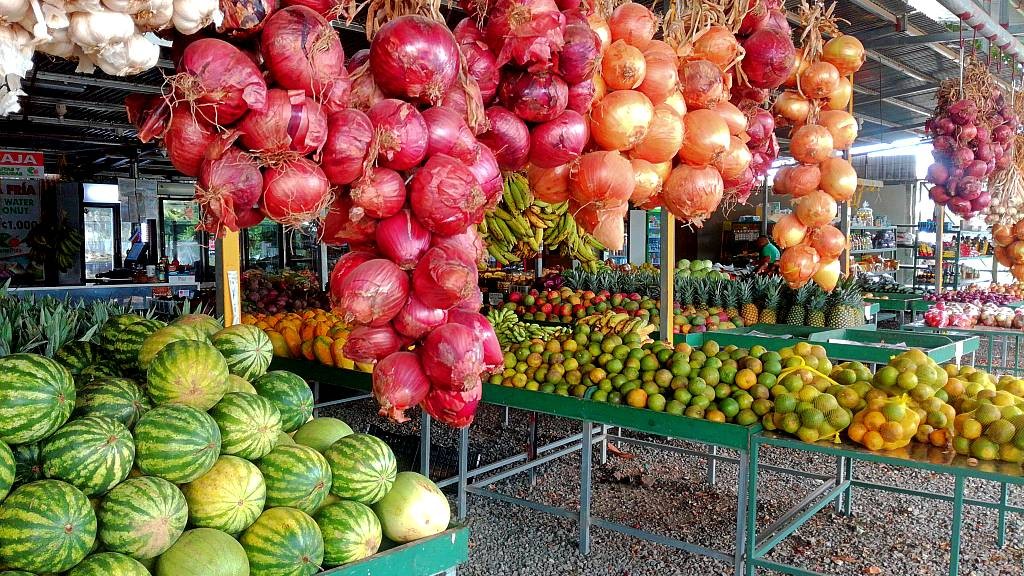 a vegetable place in Costa Rica