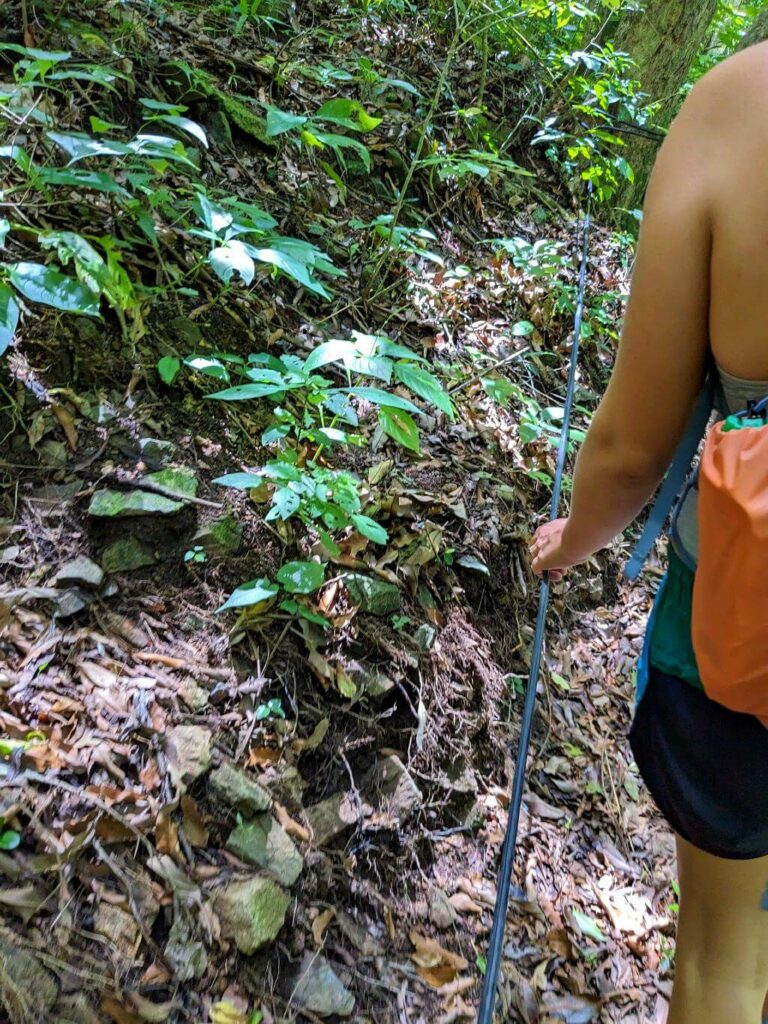 Safety cables installed along some sections of the Boquerones Hike trail.