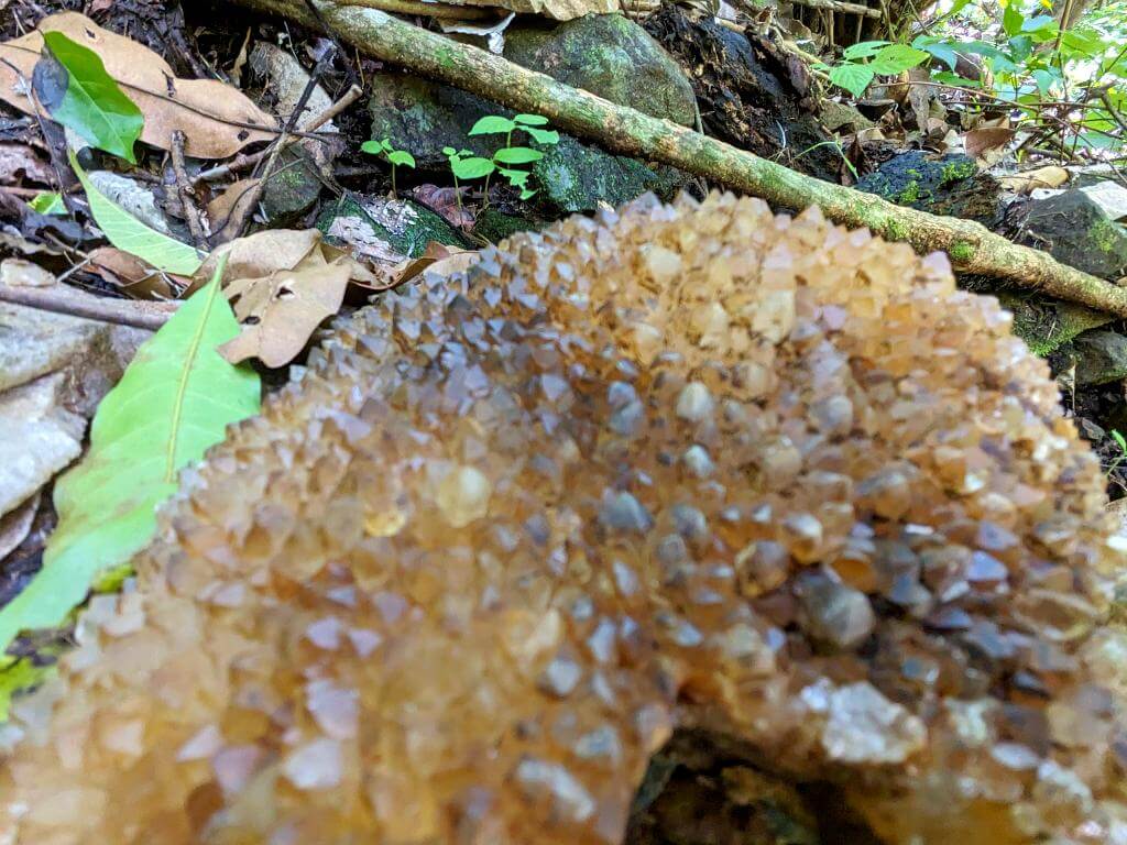 Close-up shot of Citrine Quartz Crystals by the Boquerones trail.