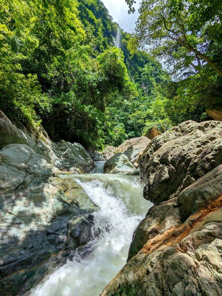Close-up view of the white water stream of Aranjuez River flowing through cascades surrounded by lush greenery.