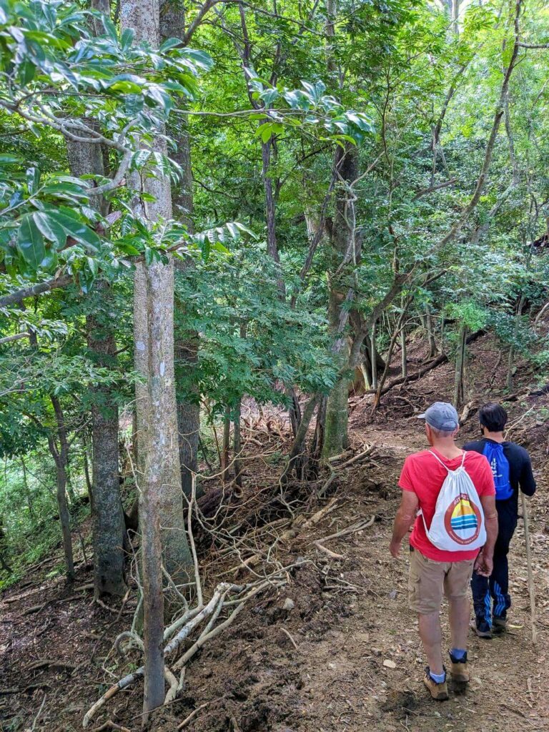 Baquiano guiding a hiker into the shaded forested section on the Boquerones Hike trail.