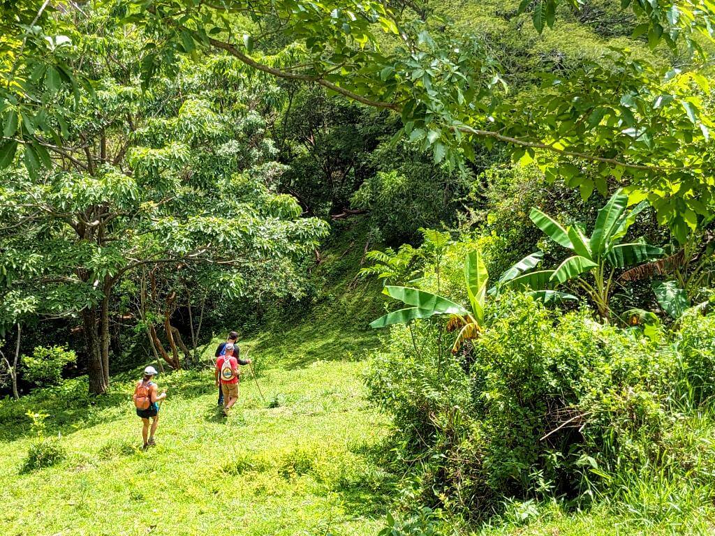 Three hikers navigating pasture hills surrounded by lush tropical vegetation on the Boquerones trail, Bajo Caliente, Puntarenas.