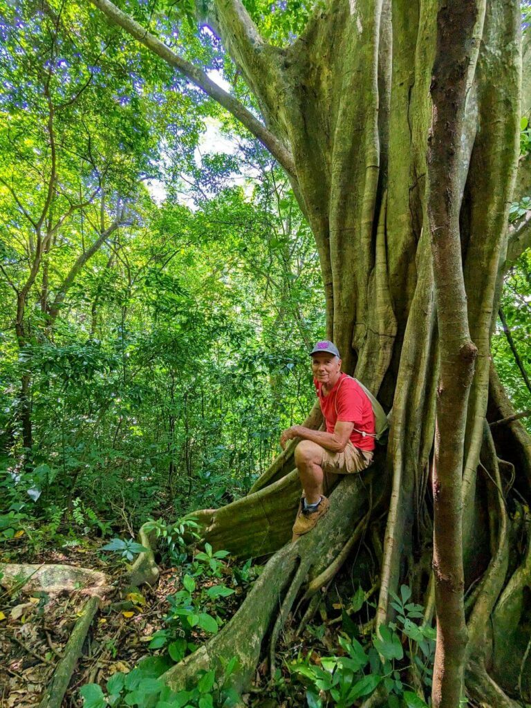 Local Costa Rican hiker posing beside a Ficus Tree during the Boquerones Hike, Bajo Caliente, Puntarenas.