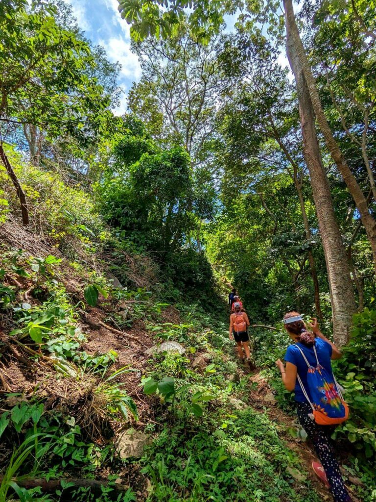 Hikers on a trail in an open forest area during the Boquerones Hike in Bajo Caliente, Puntarenas under sunny skies.