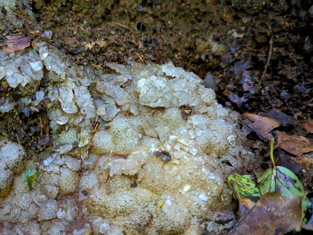 Close-up of white quartz crystals at Boquerones Hike in Bajo Caliente.
