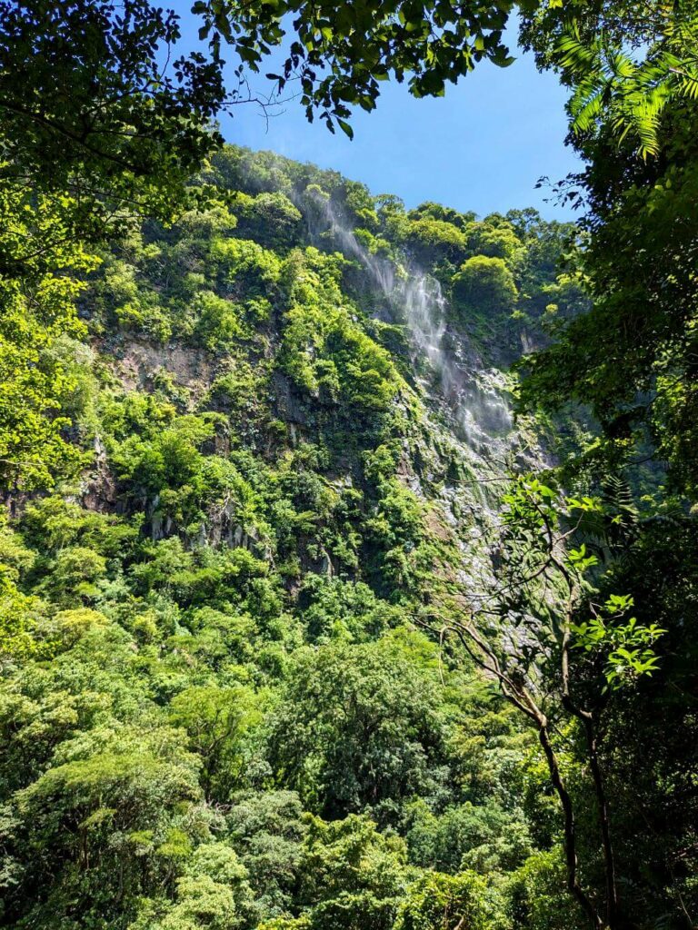 Lookout view of a seasonal waterfall cascading down a lush cliff at Boquerones Hike in Bajo Caliente, Puntarenas, framed by branches and leaves.