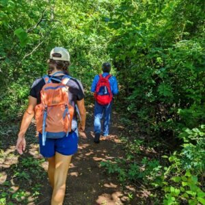Baquiano leading hikers amidst dense vegetation on the El Encanto trail.