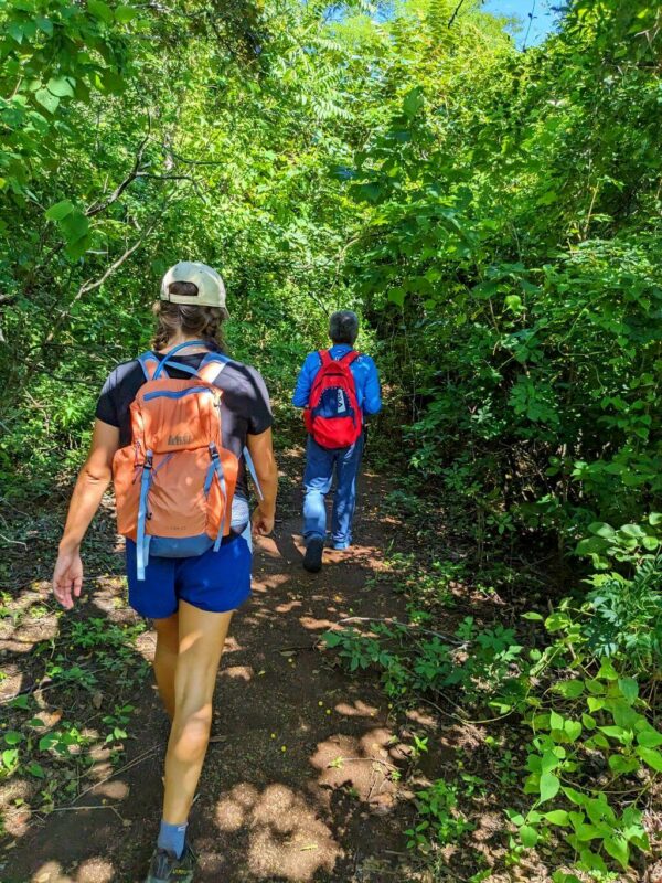 Baquiano leading hikers amidst dense vegetation on the El Encanto trail.
