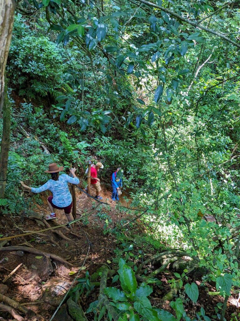Hikers navigating the steep descents on the El Encanto trail.