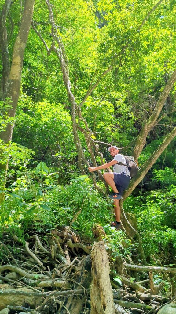 Hiker playfully pretending to climb old, thick, twisted vines reaching from the tree canopy to the ground at Boquerones Hike, Bajo Caliente, Puntarenas.