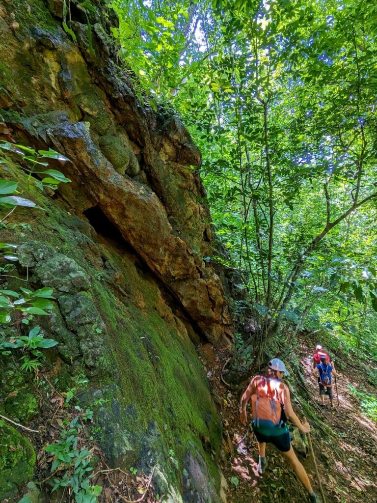 Hiker cautiously descending the trail next to a moss-covered rock amidst the dense secondary forest at Boquerones Hike, Bajo Caliente, Puntarenas.