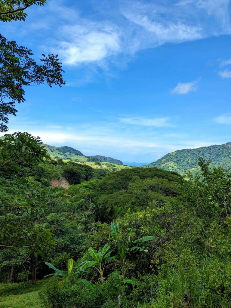 Banana and guanabana trees in the foreground with expansive views of mountains, forest, and the Nicoya Gulf under a blue sky at Boquerones Hike, Bajo Caliente, Puntarenas.
