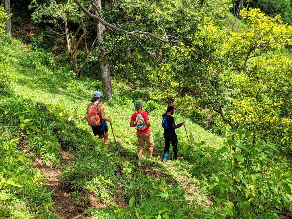 Three hikers with daypacks and walking sticks descending a trail on a grassy hill, surrounded by trees like guava and cedar at Boquerones Hike, Bajo Caliente, Puntarenas.