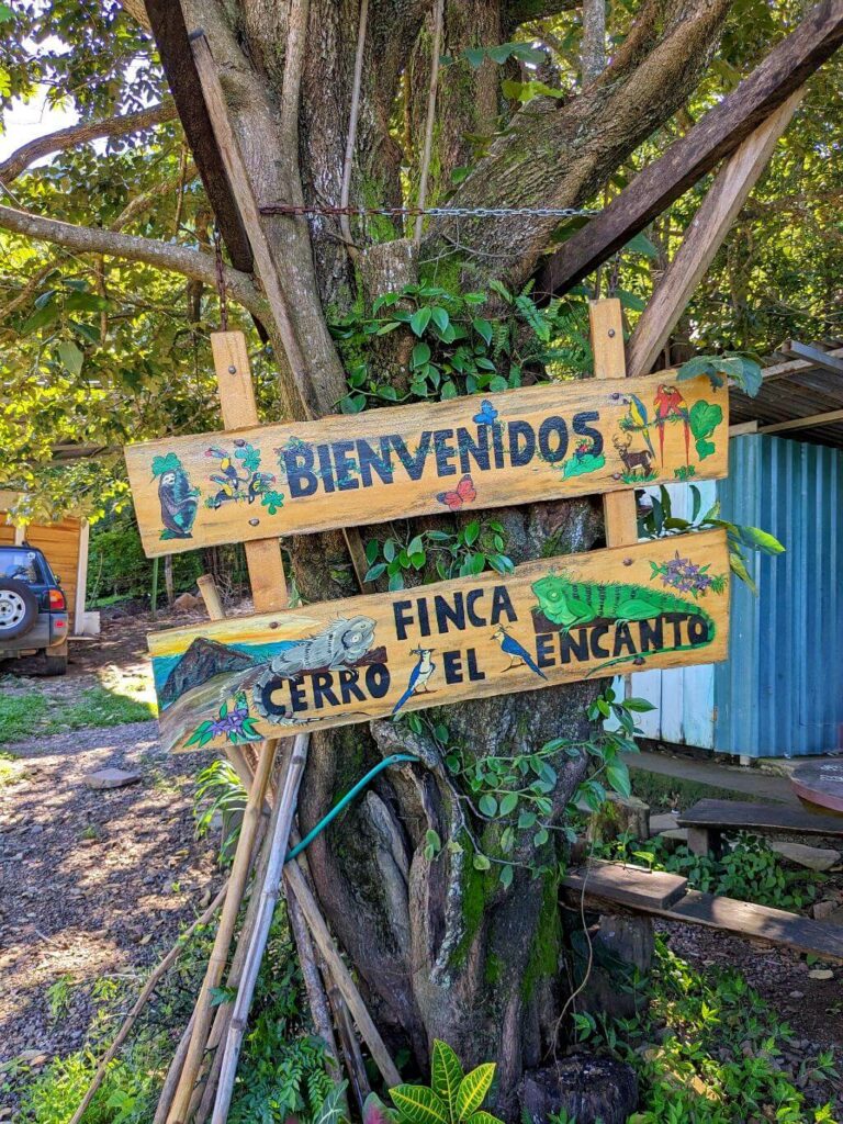 Signpost reading 'Welcome to Finca El Cerro Encanto' affixed to a sturdy ficus tree.