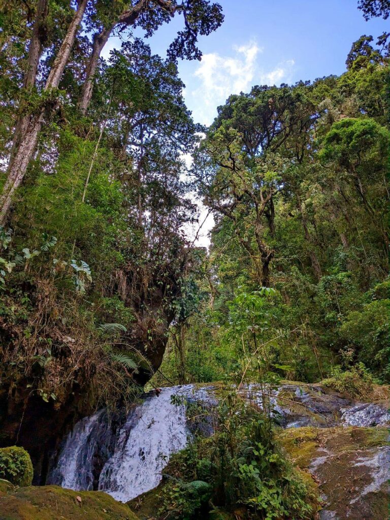 Creeks cascading into the Savegre River, known habitat for rainbow trouts, in San Gerardo de Dota, Costa Rica.
