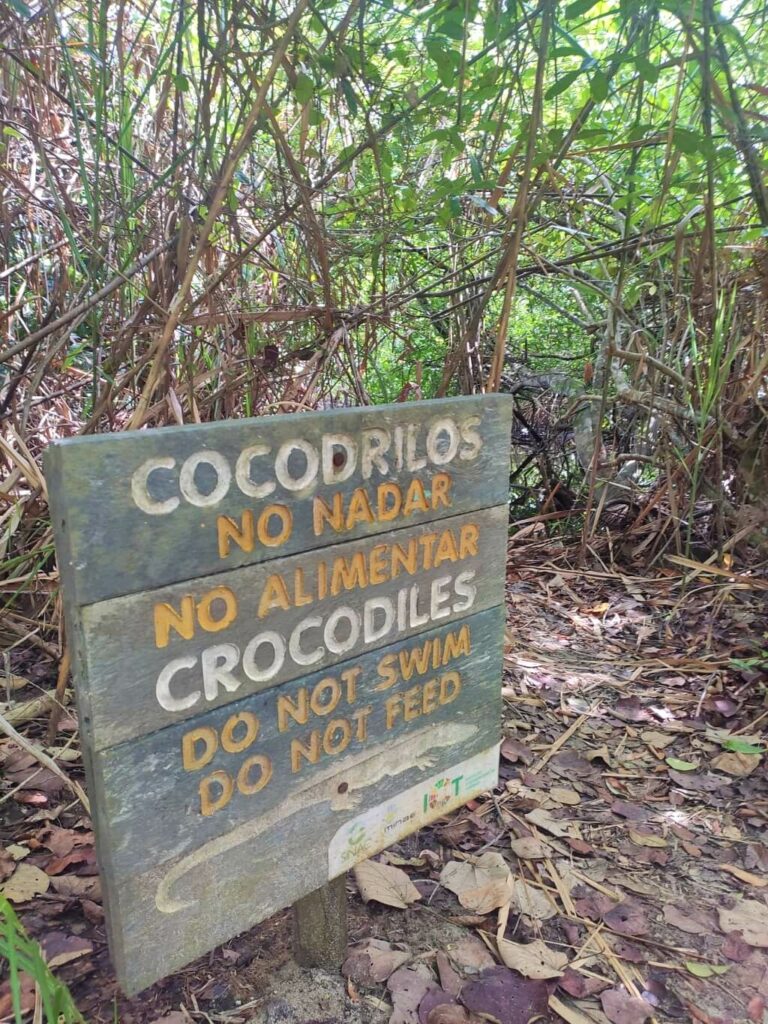 Warning sign at Suarez River in Cahuita National Park advising against feeding crocodiles and swimming.