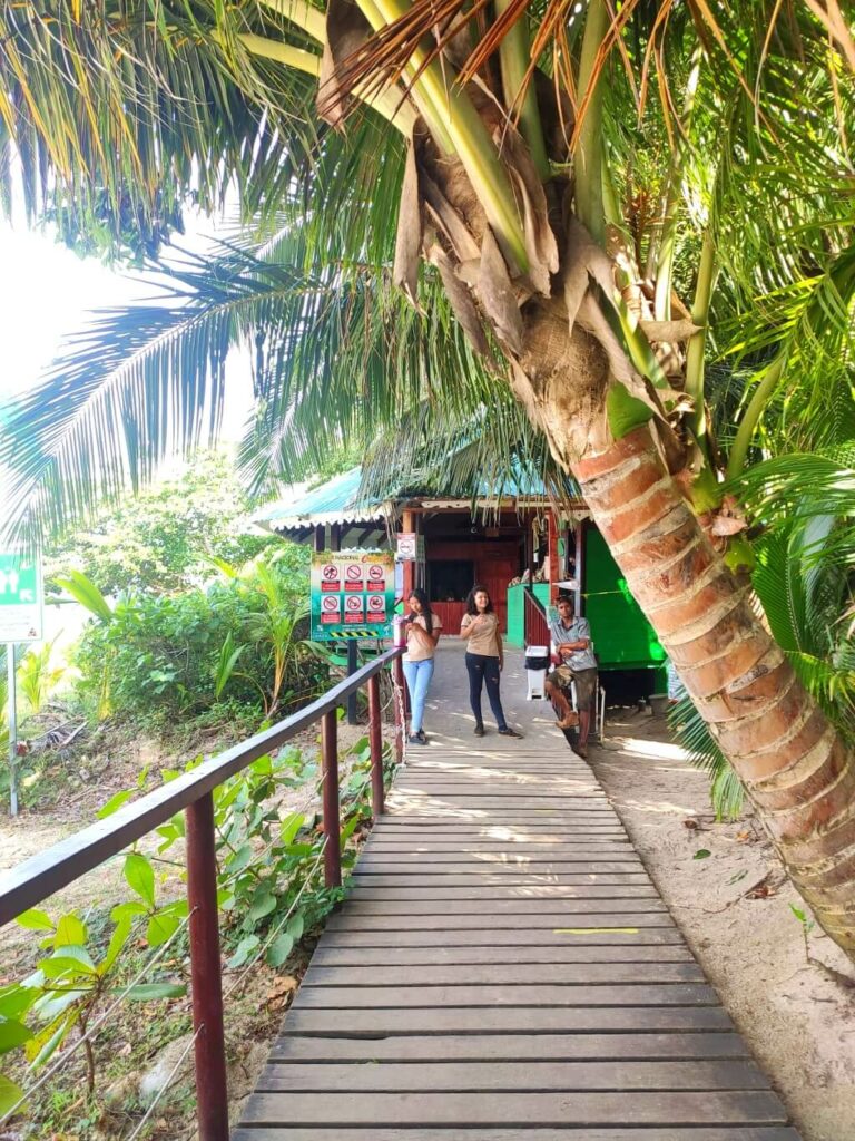 Entrance of Cahuita National Park showcasing a wooden boardwalk, vibrant green and yellow palm trees, and tour guides ready to assist visitors.