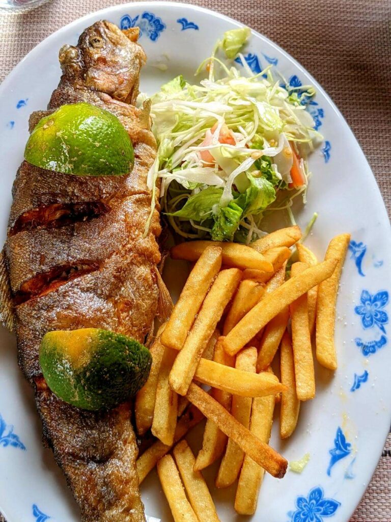 Lunch plate with fried fish, fries, and salad at a San Gerardo de Dota restaurant, Costa Rica.