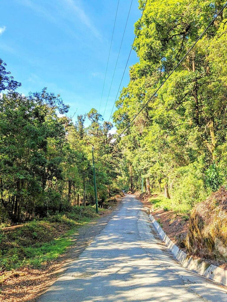 Skinny paved road winding through a forest towards San Gerardo de Dota valley, connecting to the Interamericana Sur highway.