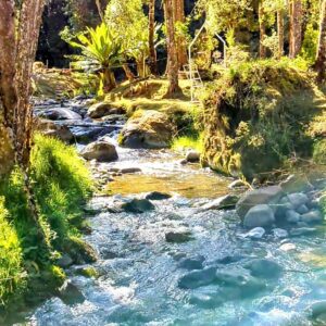 The Savegre River winding through scenic landscapes, flowing towards the Pacific Ocean.