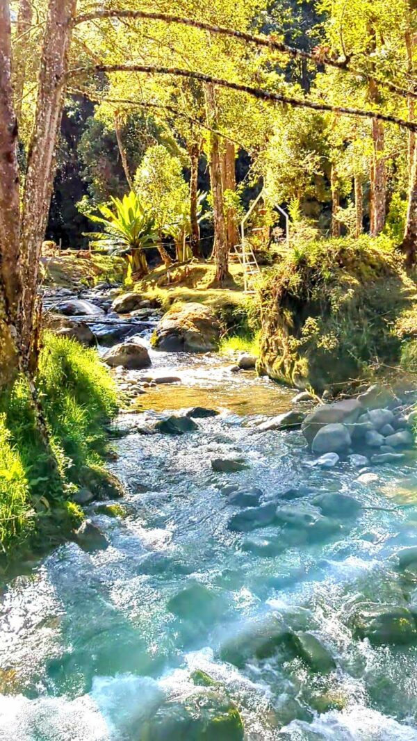 The Savegre River winding through scenic landscapes, flowing towards the Pacific Ocean.