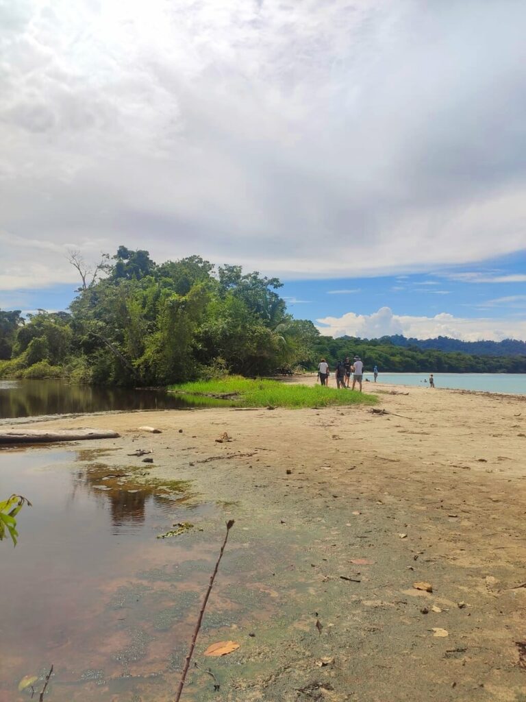 Confluence of Suarez River and Caribbean Sea at Cahuita National Park, with a backdrop of forest and overcast sky.