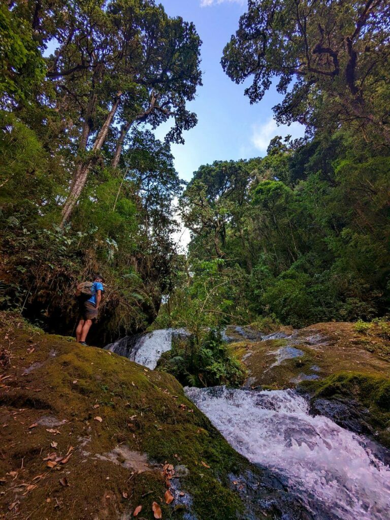 Hiker beside a cascading stream, a tributary of the Savegre River, with white waters rushing over large rocks and flanked by dense forests in a canyon.