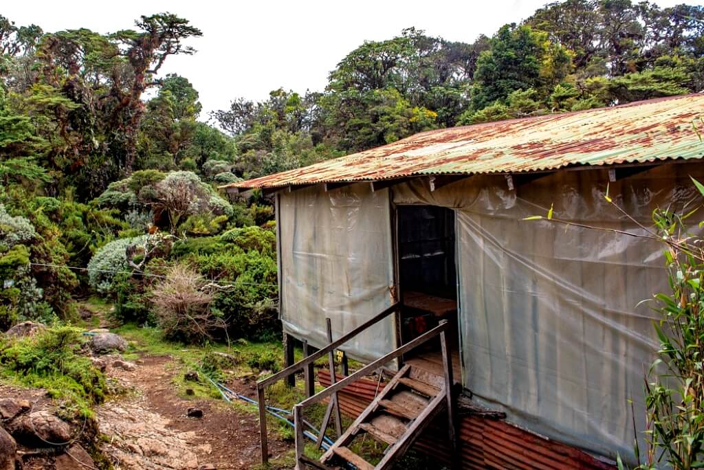 Exterior view of Albergue Cerro Ena, nestled in an area surrounded by forest. The refuge is designed to offer protection from the elements and ensure a peaceful night's rest before the early hike to summit Cerro Ena.