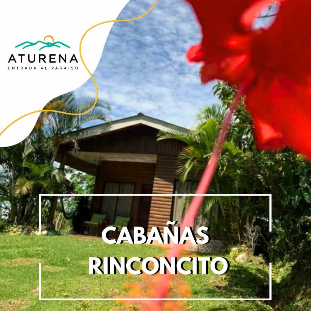 Costa Rican style house with a garden - Cabañas Rinconcito, surrounded by beautiful landscapes near San Gerardo de Dota.