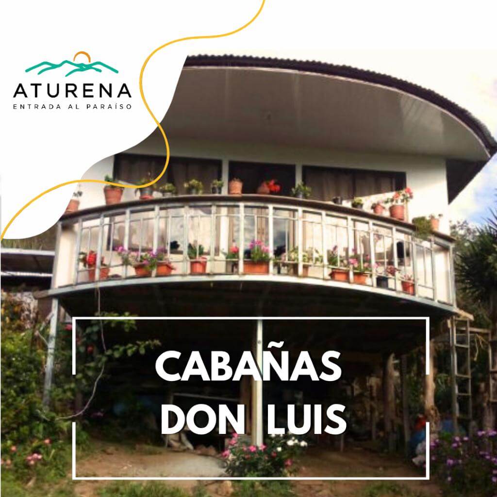 Elevated cabin, "Cabañas Don Luis," embraced by lush greenery and surrounded by abundant plants.
