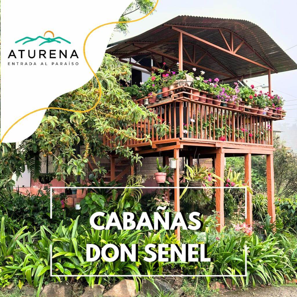 Rustic raised wooden cabin, "Cabañas don Senel," nestled near San Gerardo de Dota.