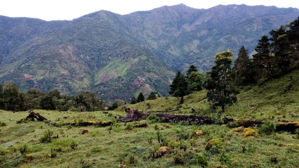 Scenic views from the trail leading to Cerro Ena, featuring trees, grassy expanses, and majestic towering mountains in the background.