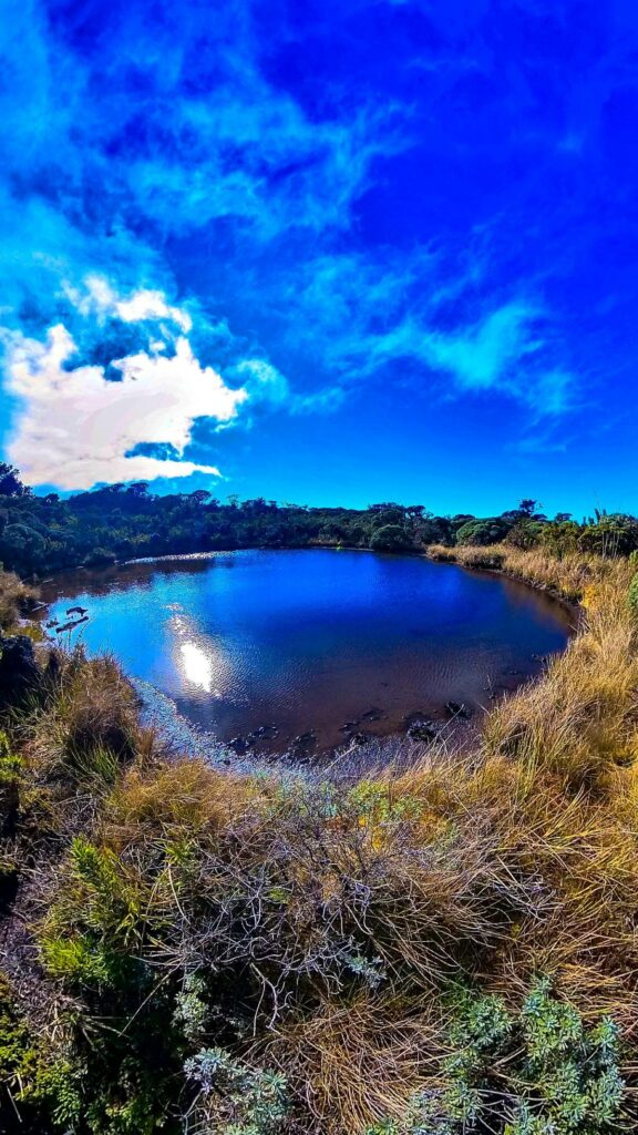 Captivating view of a beautiful Turbera or Mire reflecting the blue sky, surrounded by the lush Paramo vegetation of Cerro Ena, Costa Rica.