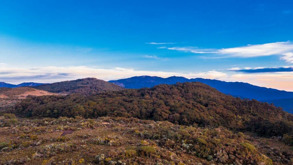 Panoramic view of the Paramo and the towering peaks of the highest mountains in the Talamanca mountain range, visible from the trail leading to the summit of Cerro Ena. The landscape showcases the Paramo ecosystem, the majestic Talamanca mountains, and patches of verdant forest.